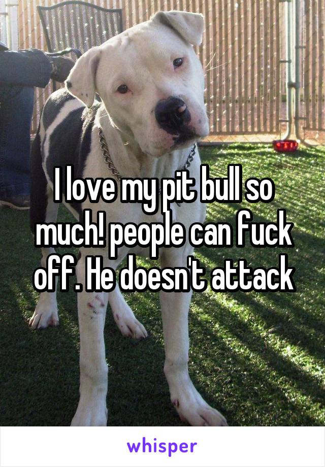 I love my pit bull so much! people can fuck off. He doesn't attack