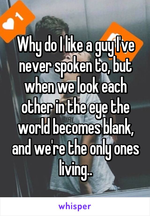 Why do I like a guy I've never spoken to, but when we look each other in the eye the world becomes blank, and we're the only ones living..