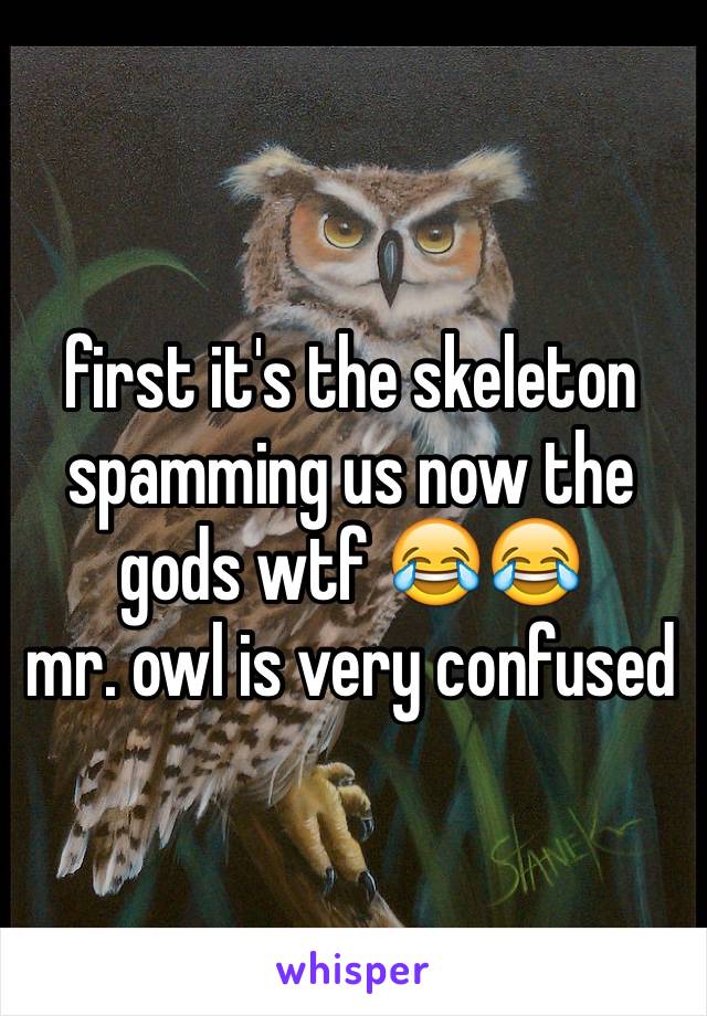 first it's the skeleton spamming us now the gods wtf 😂😂
mr. owl is very confused 