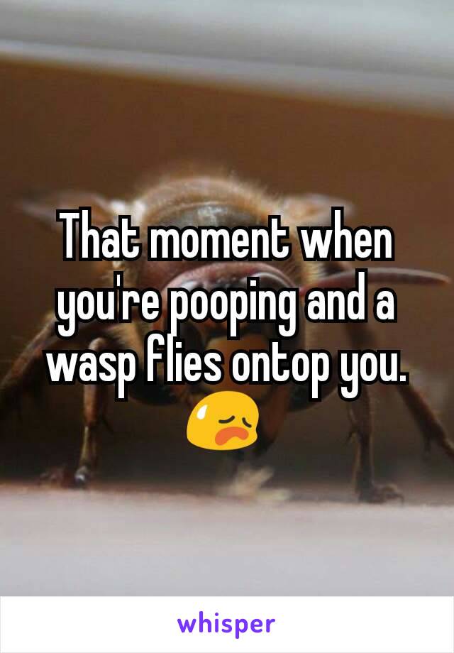 That moment when you're pooping and a wasp flies ontop you. 😥 