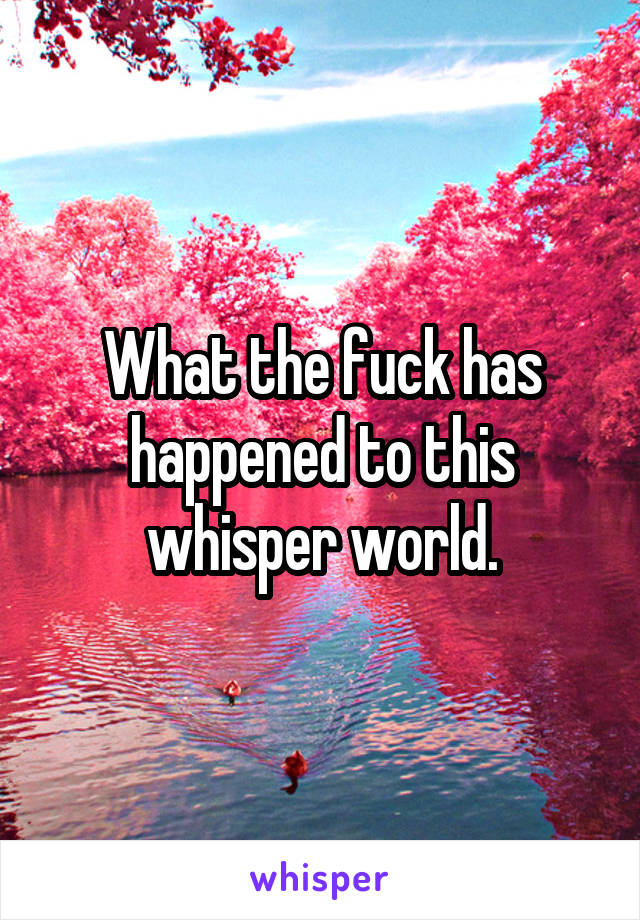 What the fuck has happened to this whisper world.