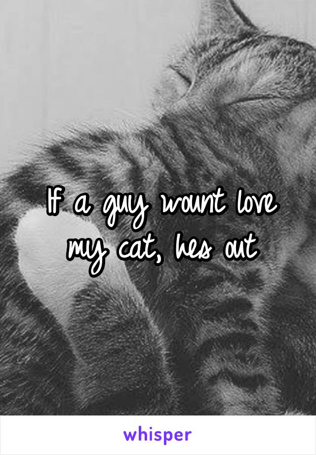 If a guy wount love my cat, hes out