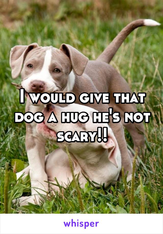 I would give that dog a hug he's not scary!!