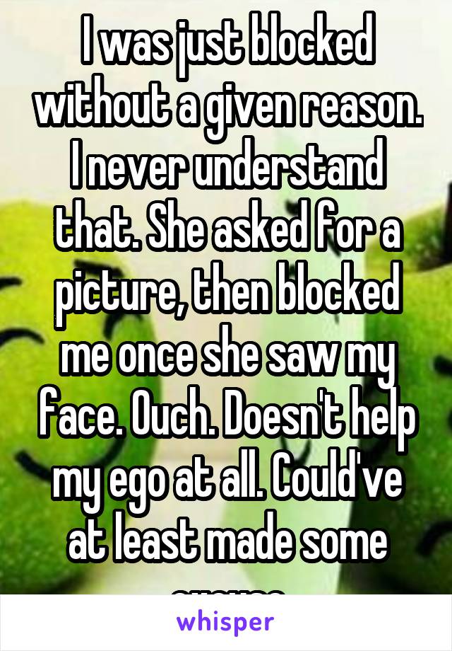 I was just blocked without a given reason. I never understand that. She asked for a picture, then blocked me once she saw my face. Ouch. Doesn't help my ego at all. Could've at least made some excuse