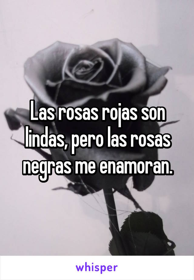 Las rosas rojas son lindas, pero las rosas negras me enamoran.