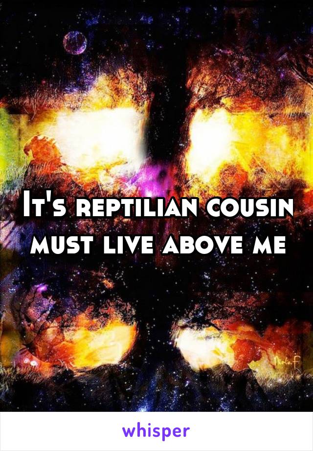 It's reptilian cousin must live above me