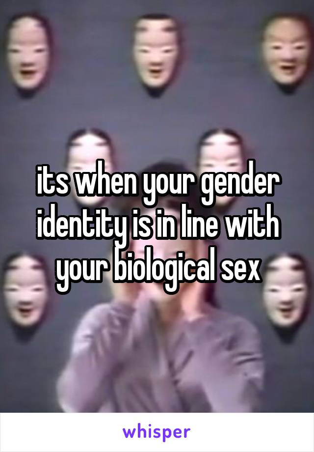 its when your gender identity is in line with your biological sex