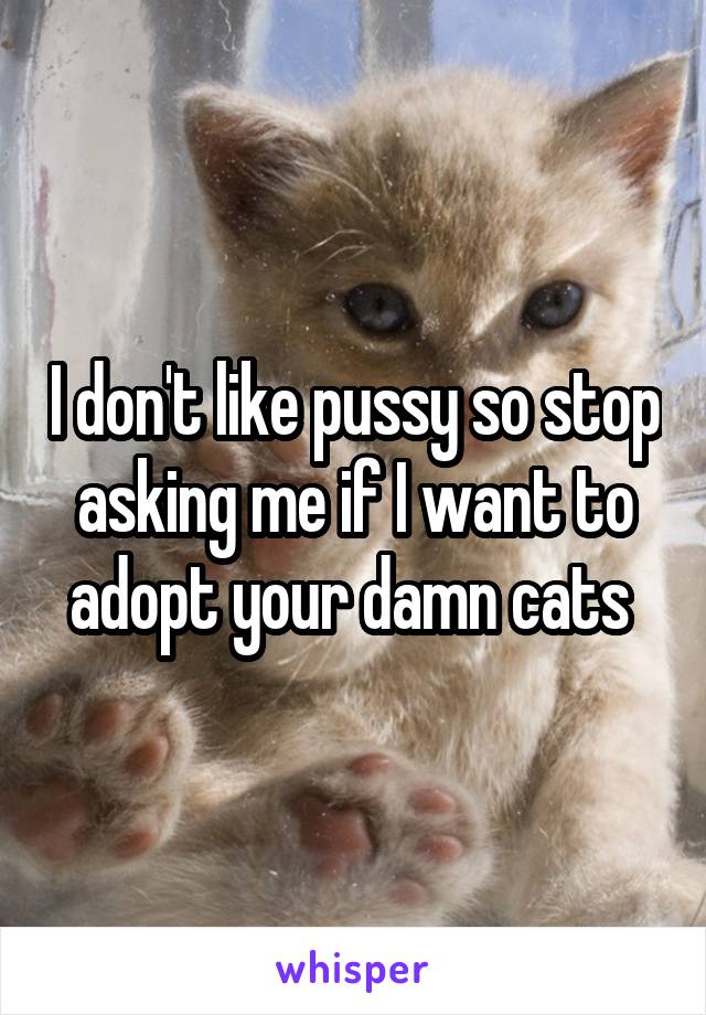 I don't like pussy so stop asking me if I want to adopt your damn cats 