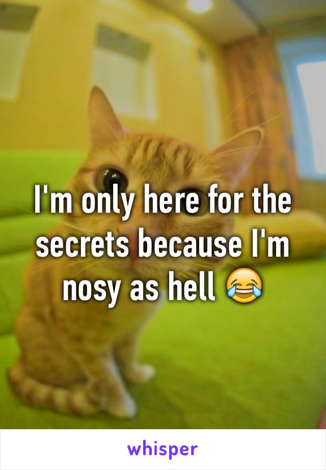 I'm only here for the secrets because I'm nosy as hell 😂