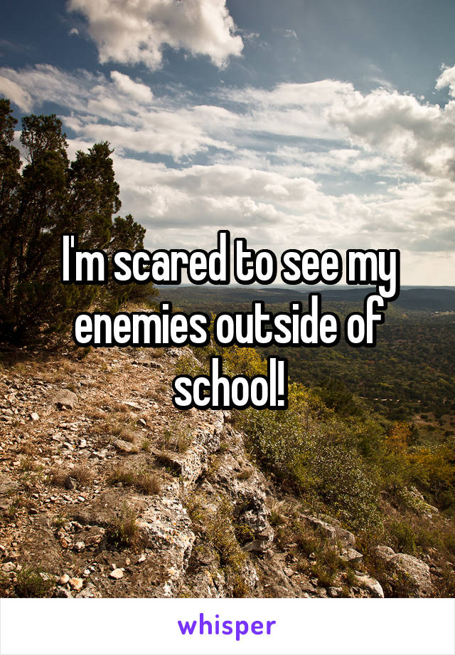 I'm scared to see my enemies outside of school!