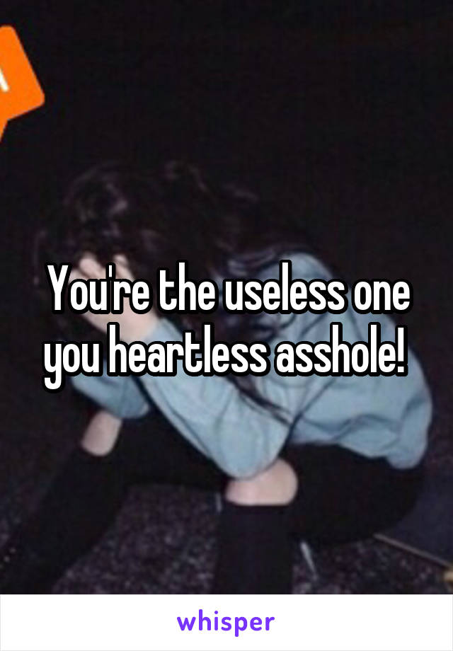 You're the useless one you heartless asshole! 