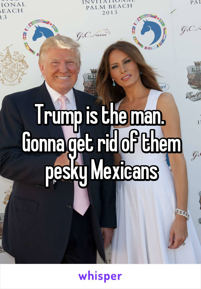 Trump is the man. 
Gonna get rid of them pesky Mexicans