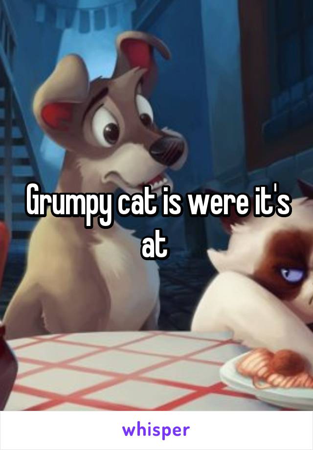 Grumpy cat is were it's at 