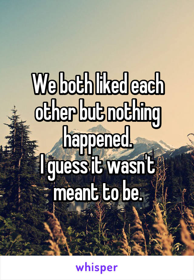 We both liked each other but nothing happened.
I guess it wasn't meant to be.