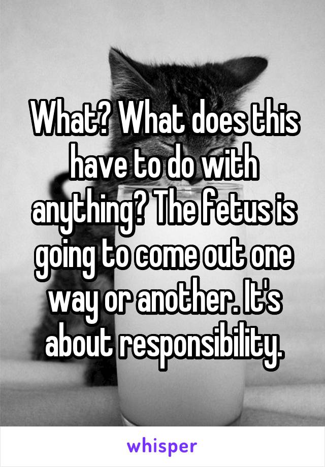 What? What does this have to do with anything? The fetus is going to come out one way or another. It's about responsibility.