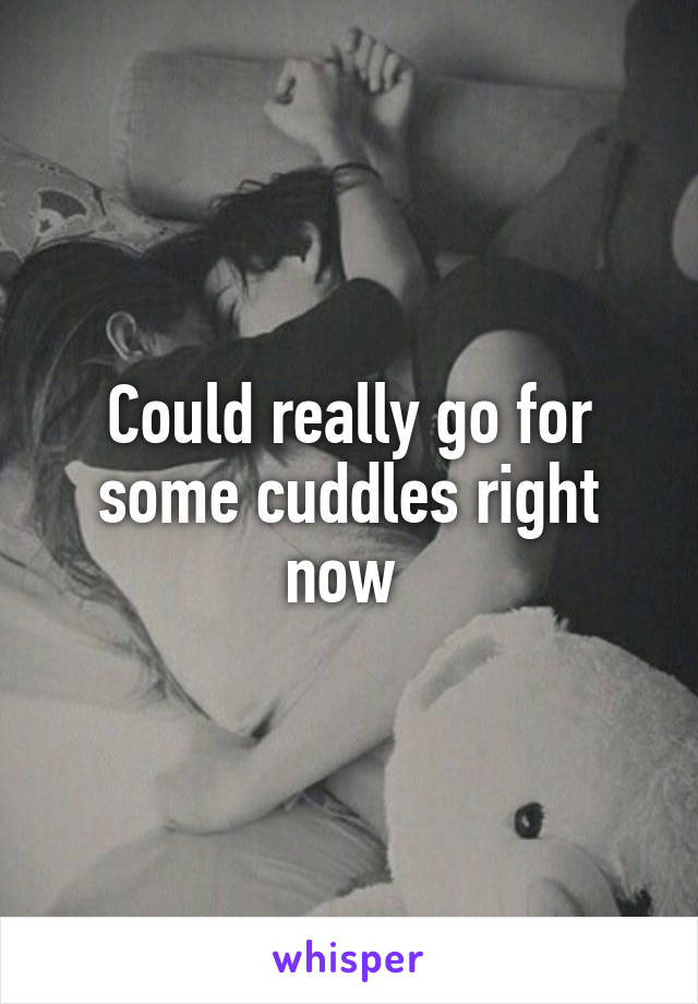 Could really go for some cuddles right now 