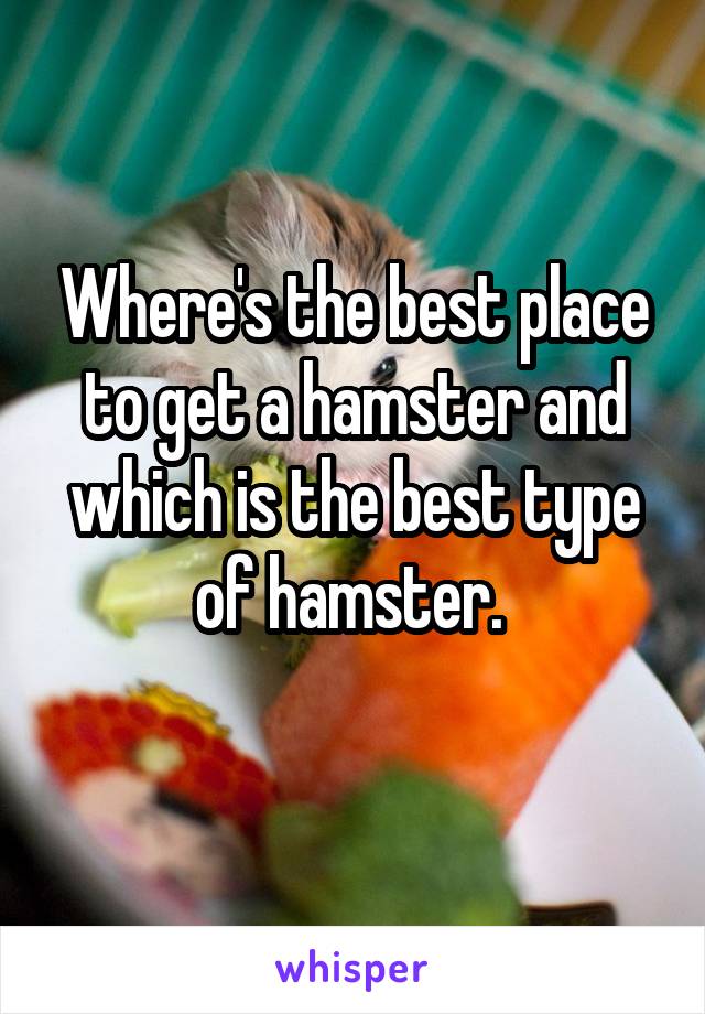 Where's the best place to get a hamster and which is the best type of hamster. 
