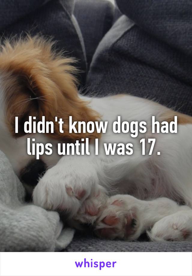 I didn't know dogs had lips until I was 17. 