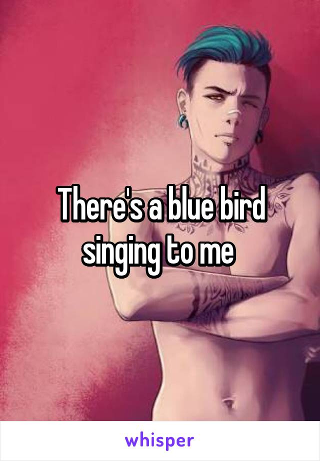 There's a blue bird singing to me 