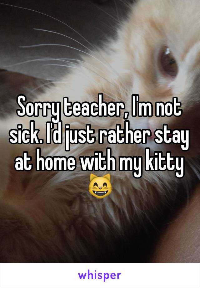 Sorry teacher, I'm not sick. I'd just rather stay at home with my kitty 😸