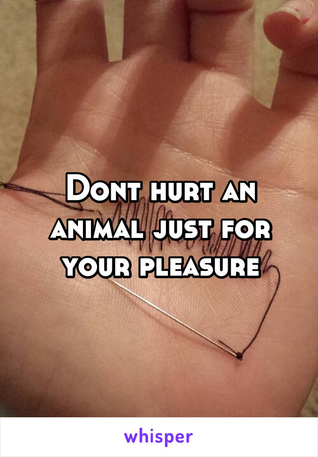 Dont hurt an animal just for your pleasure