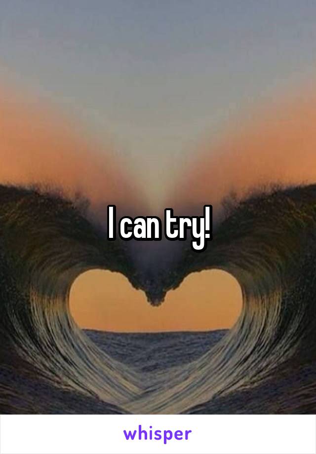 I can try!