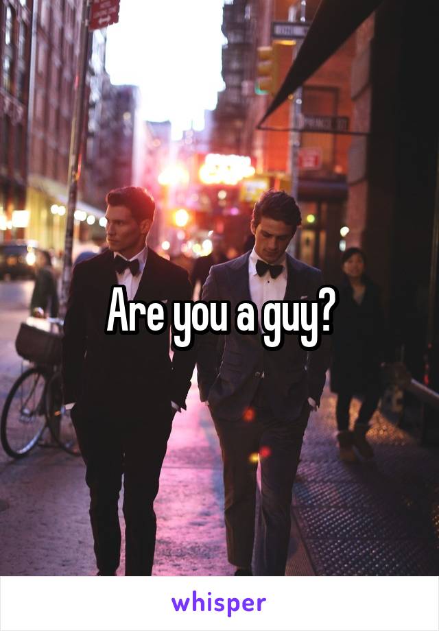 Are you a guy?