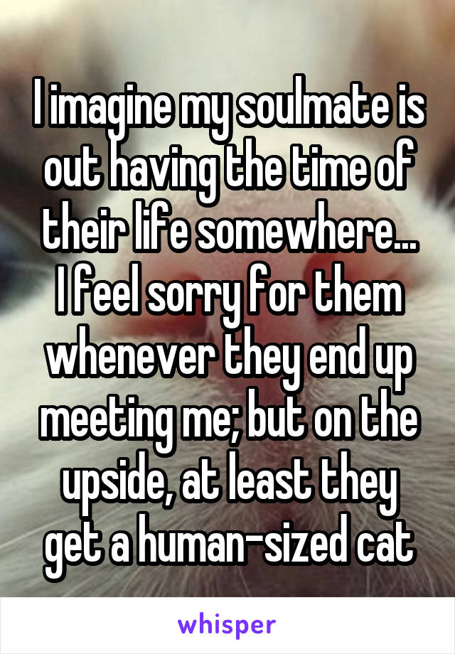 I imagine my soulmate is out having the time of their life somewhere...
I feel sorry for them whenever they end up meeting me; but on the upside, at least they get a human-sized cat