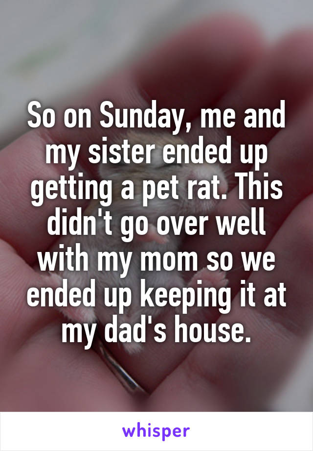 So on Sunday, me and my sister ended up getting a pet rat. This didn't go over well with my mom so we ended up keeping it at my dad's house.