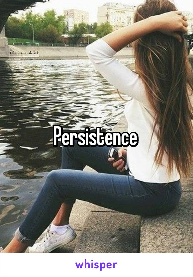 Persistence 