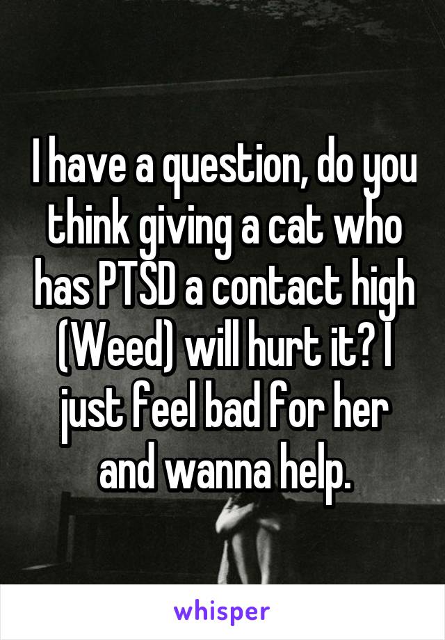 I have a question, do you think giving a cat who has PTSD a contact high (Weed) will hurt it? I just feel bad for her and wanna help.