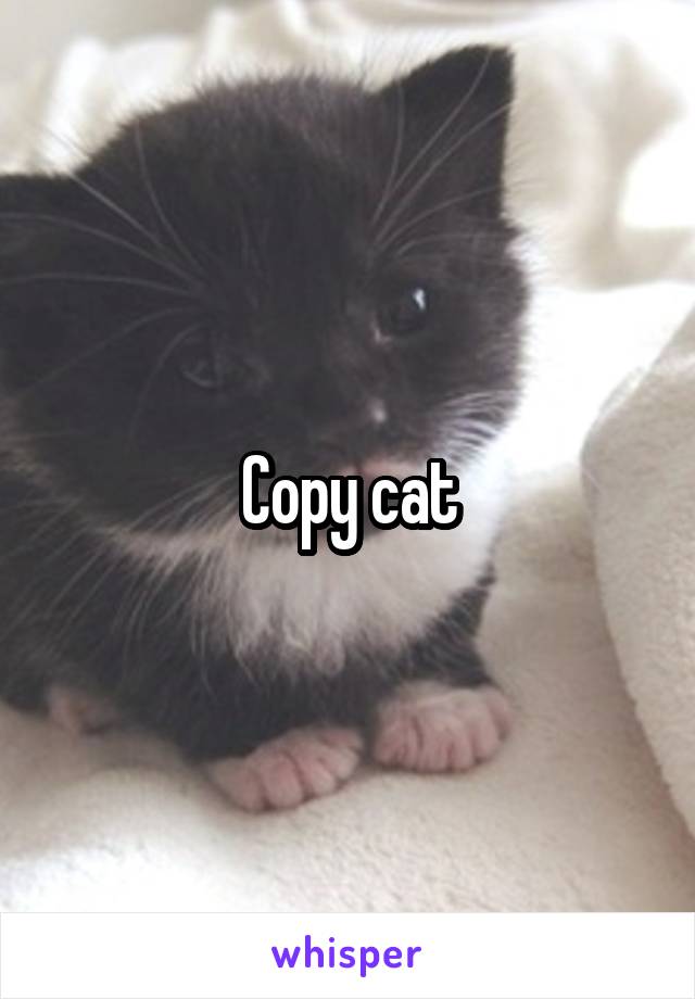 Copy cat