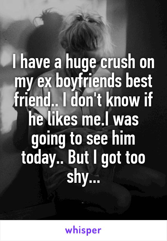 I have a huge crush on my ex boyfriends best friend.. I don't know if he likes me.I was going to see him today.. But I got too shy...