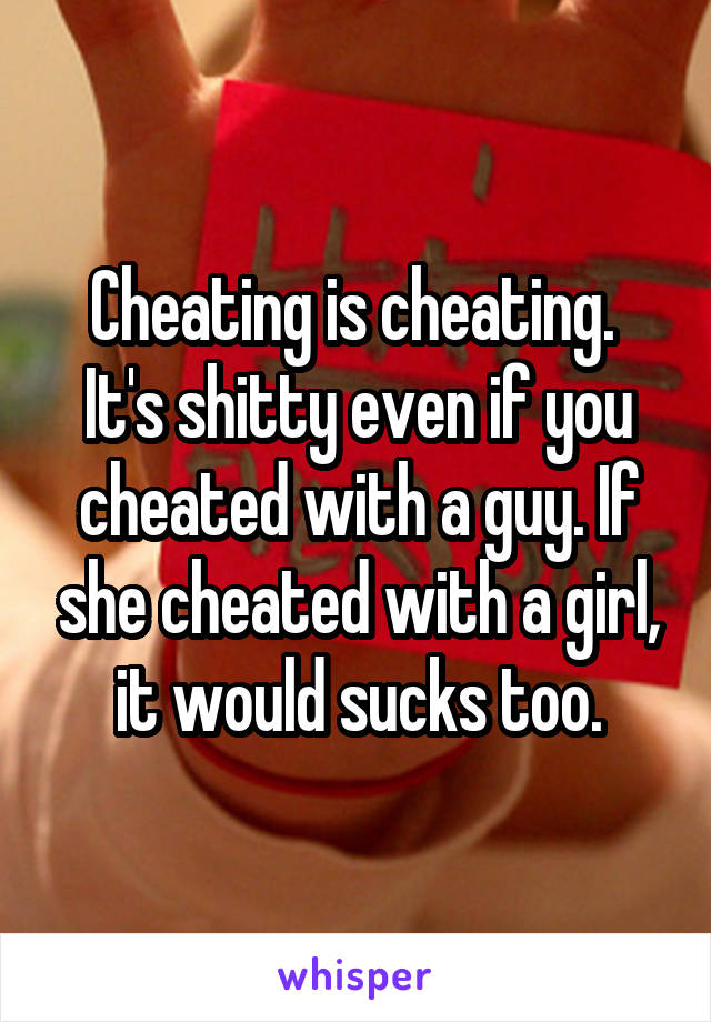 Cheating is cheating.  It's shitty even if you cheated with a guy. If she cheated with a girl, it would sucks too.