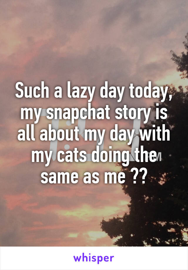 Such a lazy day today, my snapchat story is all about my day with my cats doing the same as me 💤💤