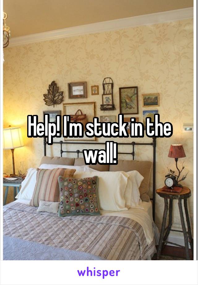 Help! I'm stuck in the wall!