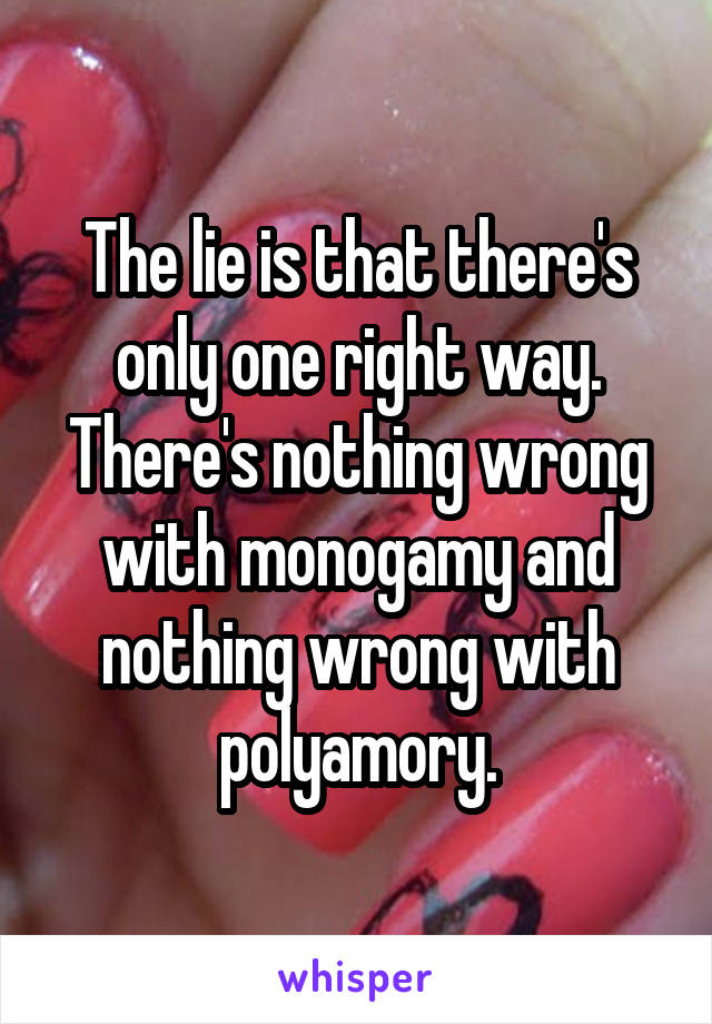 The lie is that there's only one right way. There's nothing wrong with monogamy and nothing wrong with polyamory.