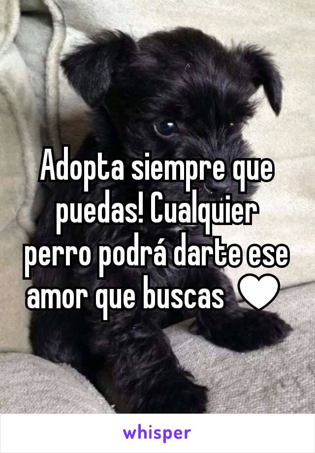 Adopta siempre que puedas! Cualquier perro podrá darte ese amor que buscas ♥