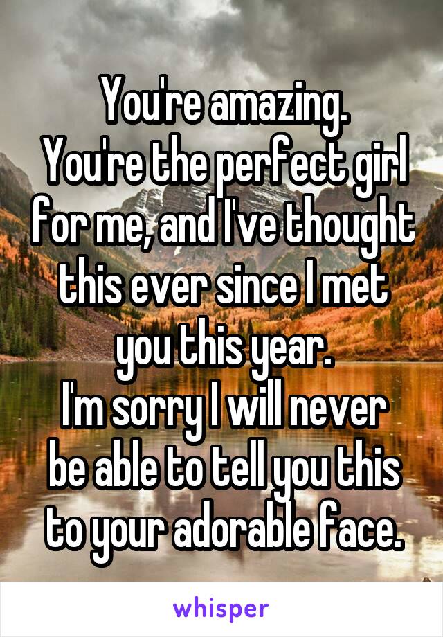 You're amazing.
You're the perfect girl for me, and I've thought this ever since I met you this year.
I'm sorry I will never be able to tell you this to your adorable face.