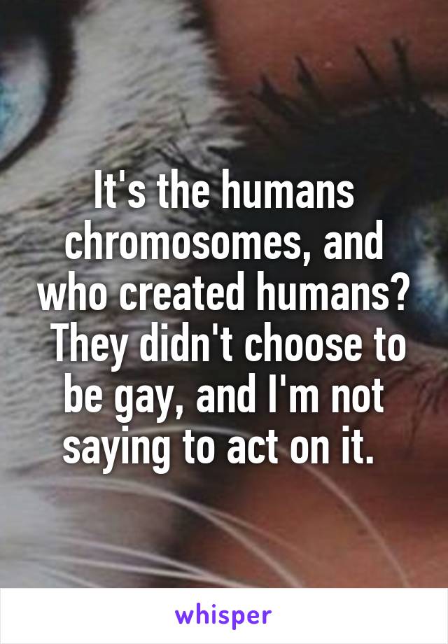 It's the humans chromosomes, and who created humans?
 They didn't choose to be gay, and I'm not saying to act on it. 