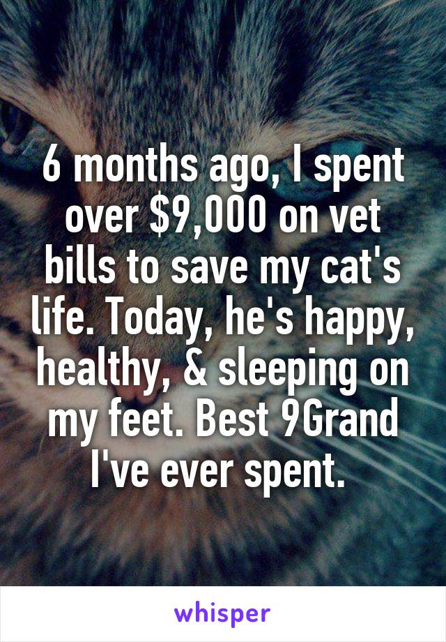6 months ago, I spent over $9,000 on vet bills to save my cat's life. Today, he's happy, healthy, & sleeping on my feet. Best 9Grand I've ever spent. 