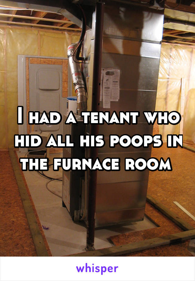 I had a tenant who hid all his poops in the furnace room 