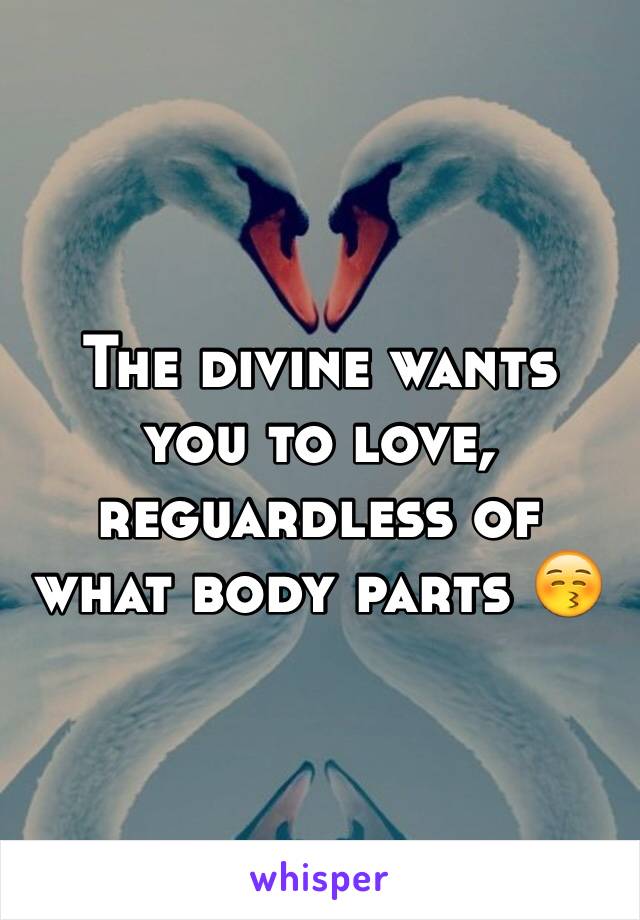 The divine wants you to love, reguardless of what body parts 😚