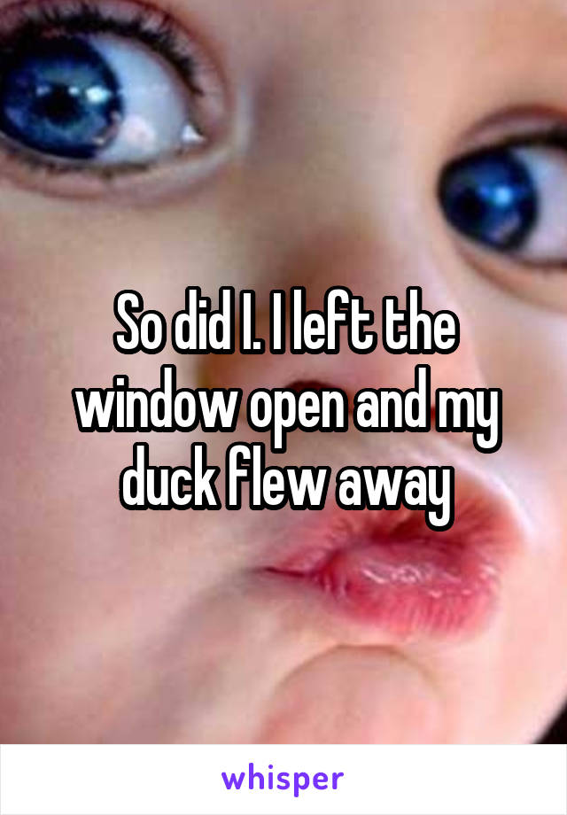 So did I. I left the window open and my duck flew away