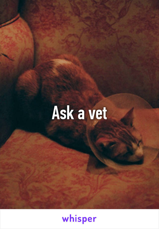 Ask a vet