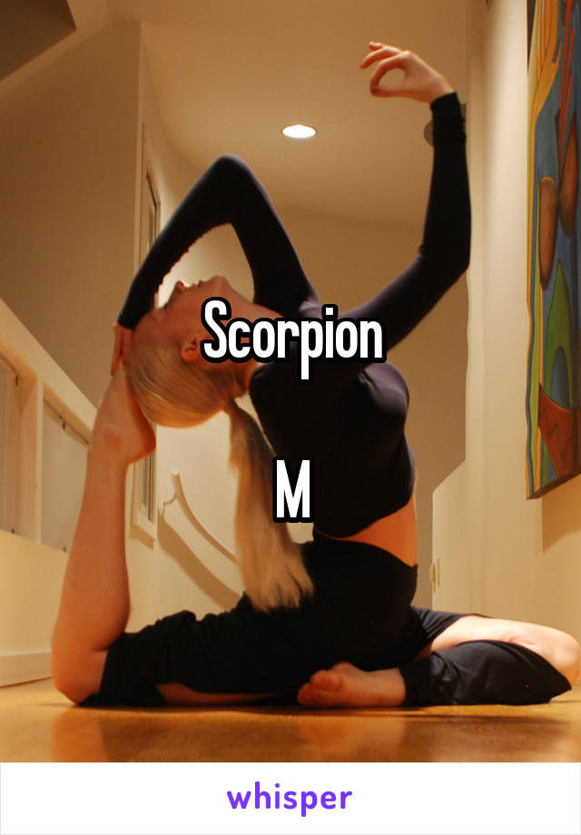 Scorpion

M