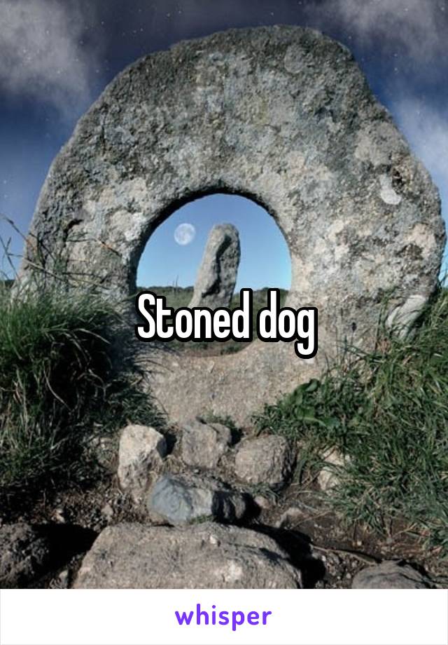 Stoned dog