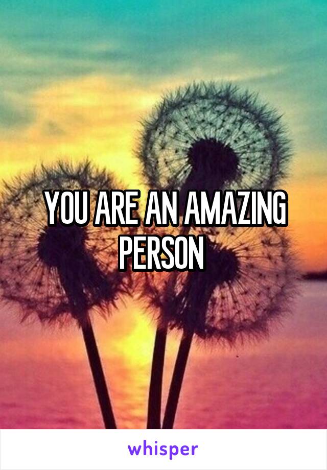 YOU ARE AN AMAZING PERSON 