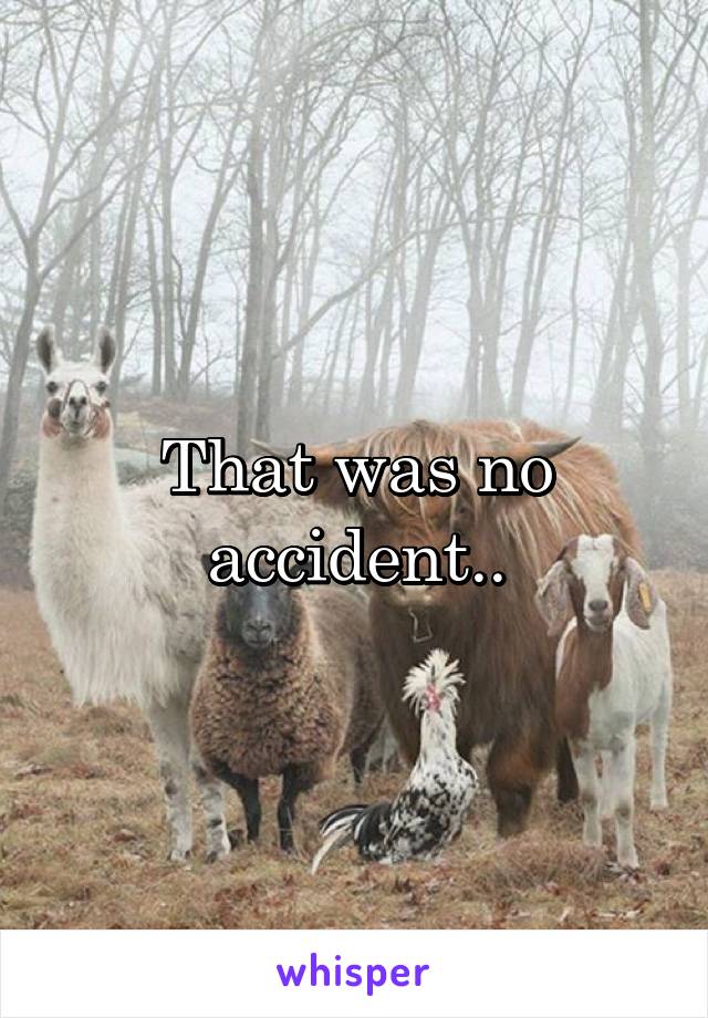 That was no accident..