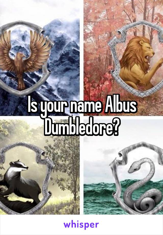 Is your name Albus Dumbledore?